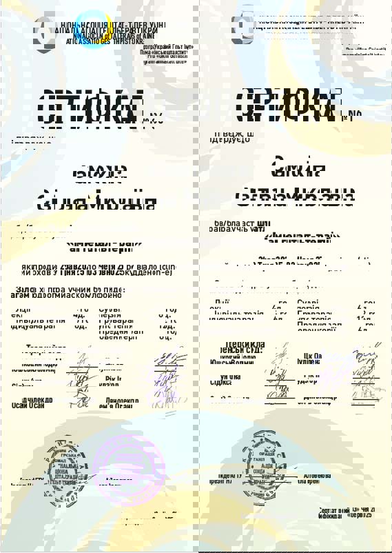 Сертификат 2 Светлана Са...