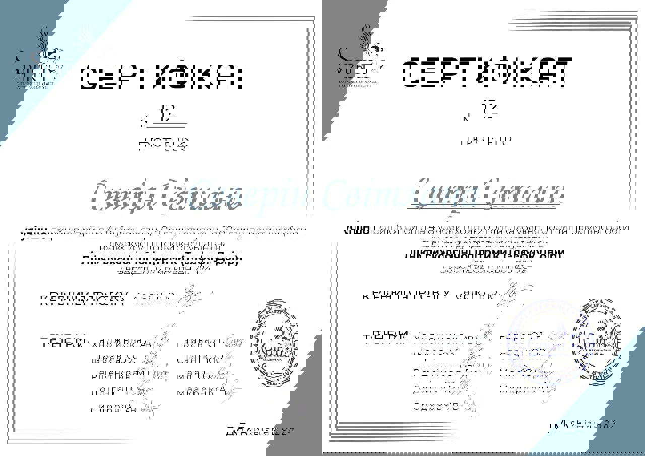 Сертификат 2 Светлана  Се...