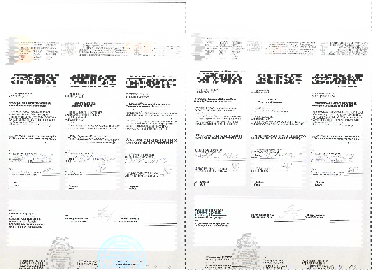 Сертификат 1 Светлана  Се...