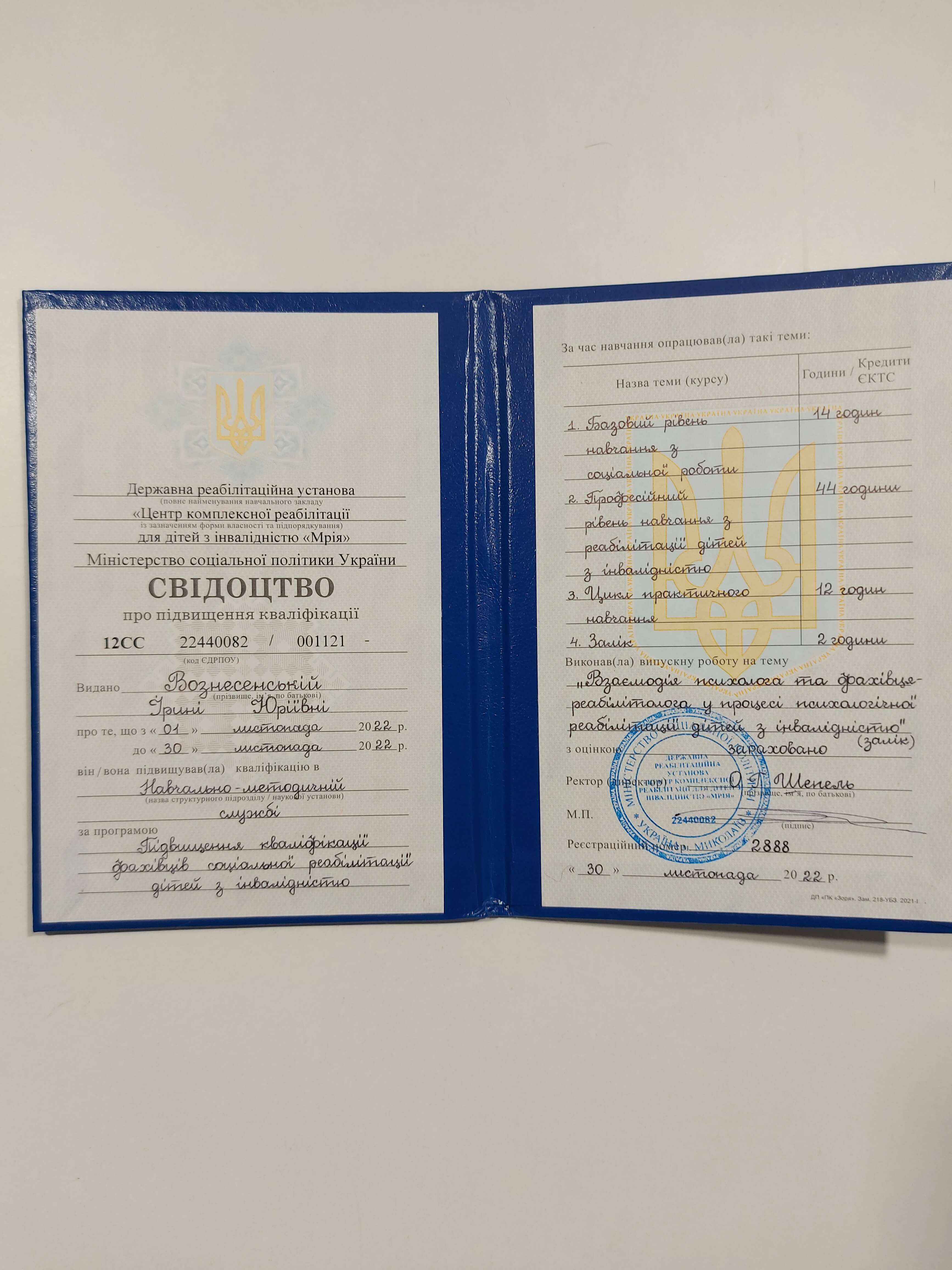 Сертификат 2 Ирина Во...