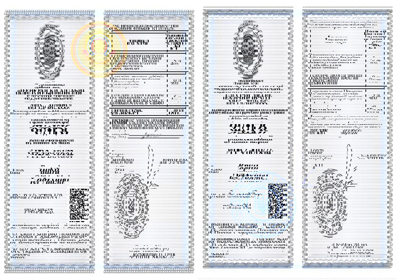 Сертификат 3 Юлія Ва...