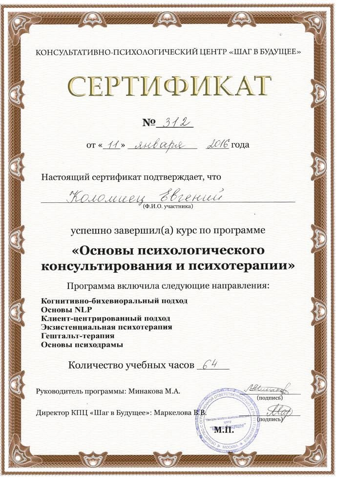 Консультативно-психологический центр «Шаг в Будущее», Основы психологического консультирования и психотерапии
