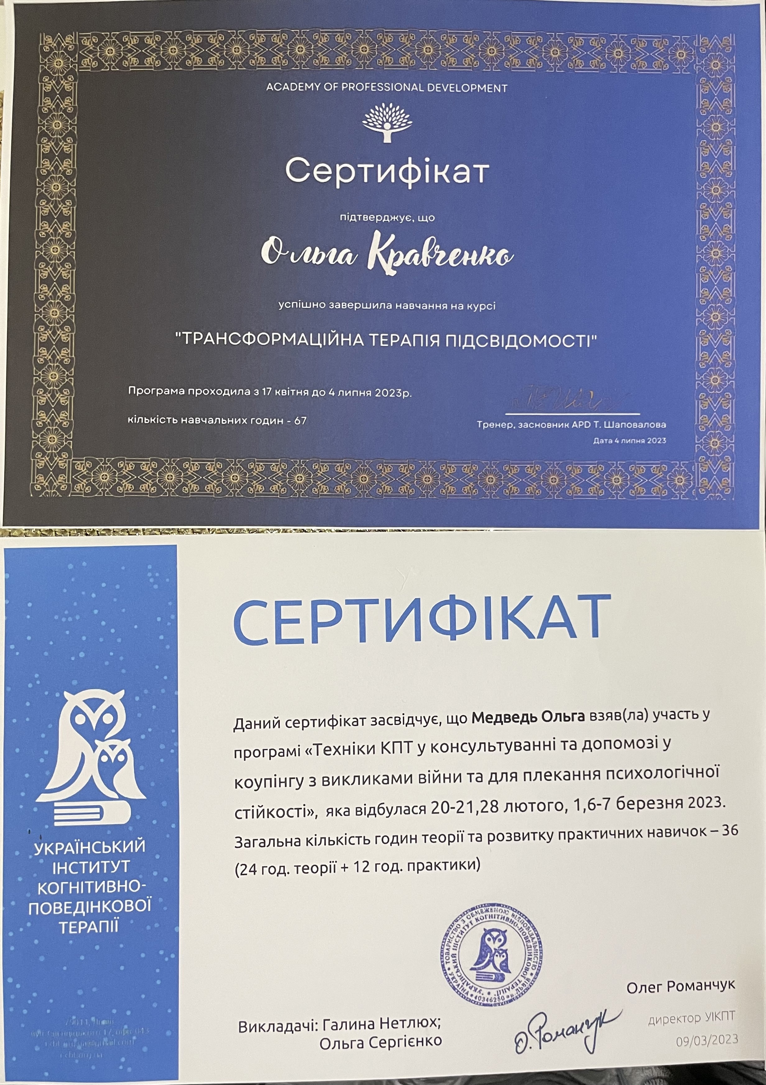 Сертификат 3 Ольга Ме...