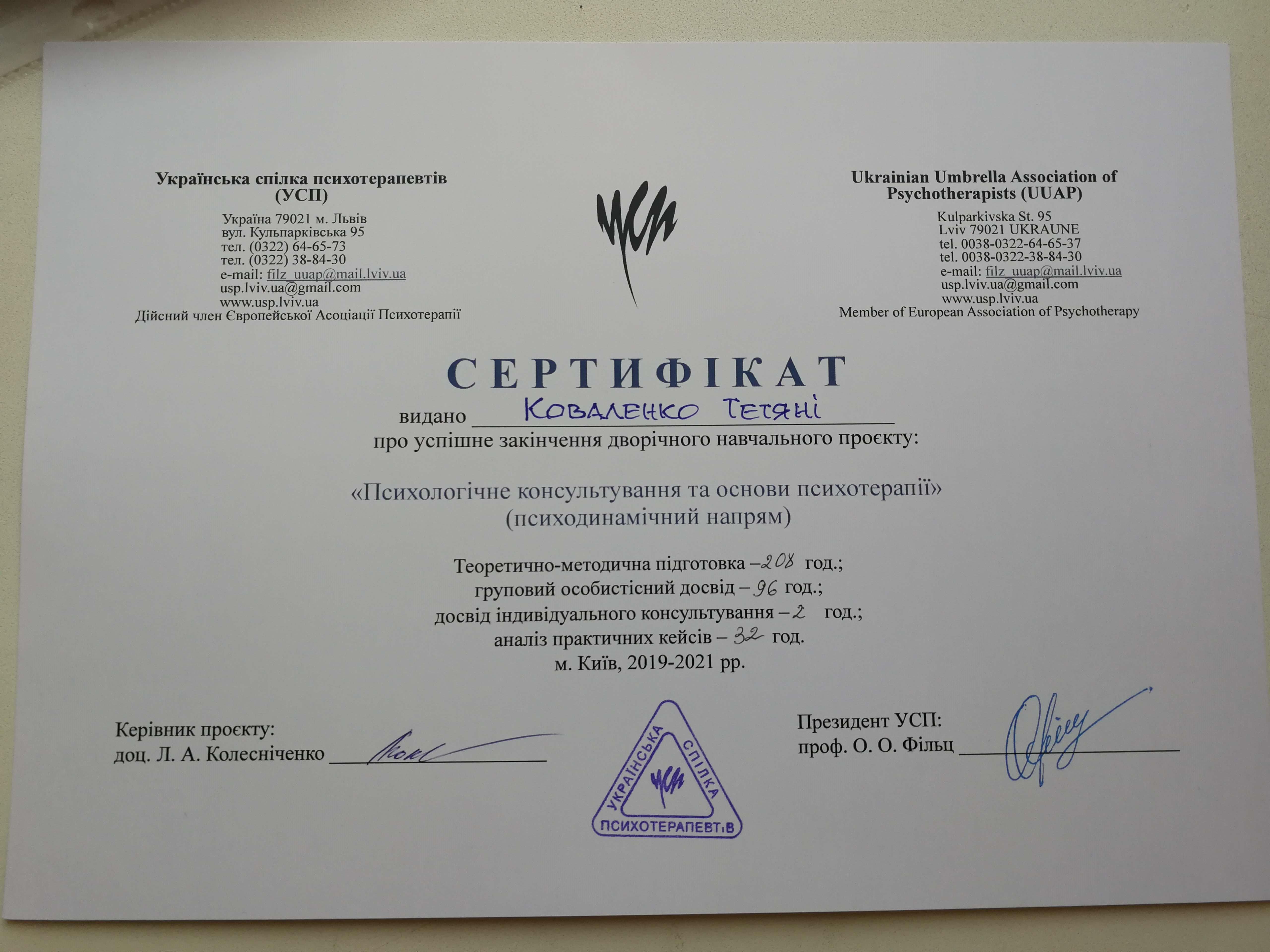 Сертификат 2 Татьяна  Ко...