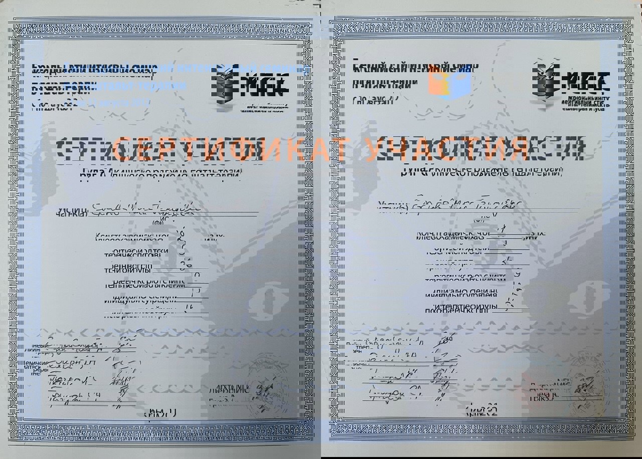 Сертифікат 1 Аліса  Єф...