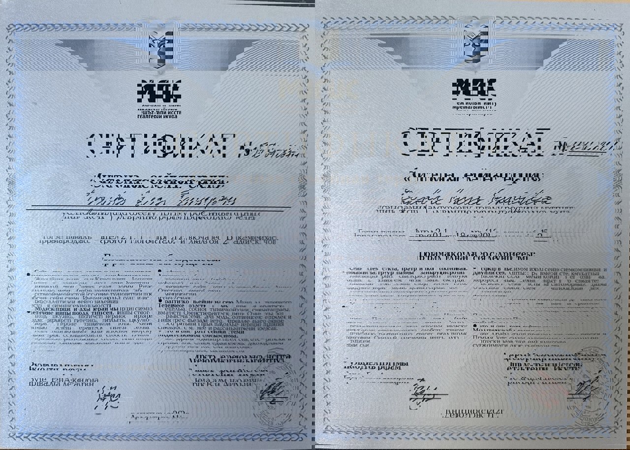 Сертифікат 4 Аліса  Єф...