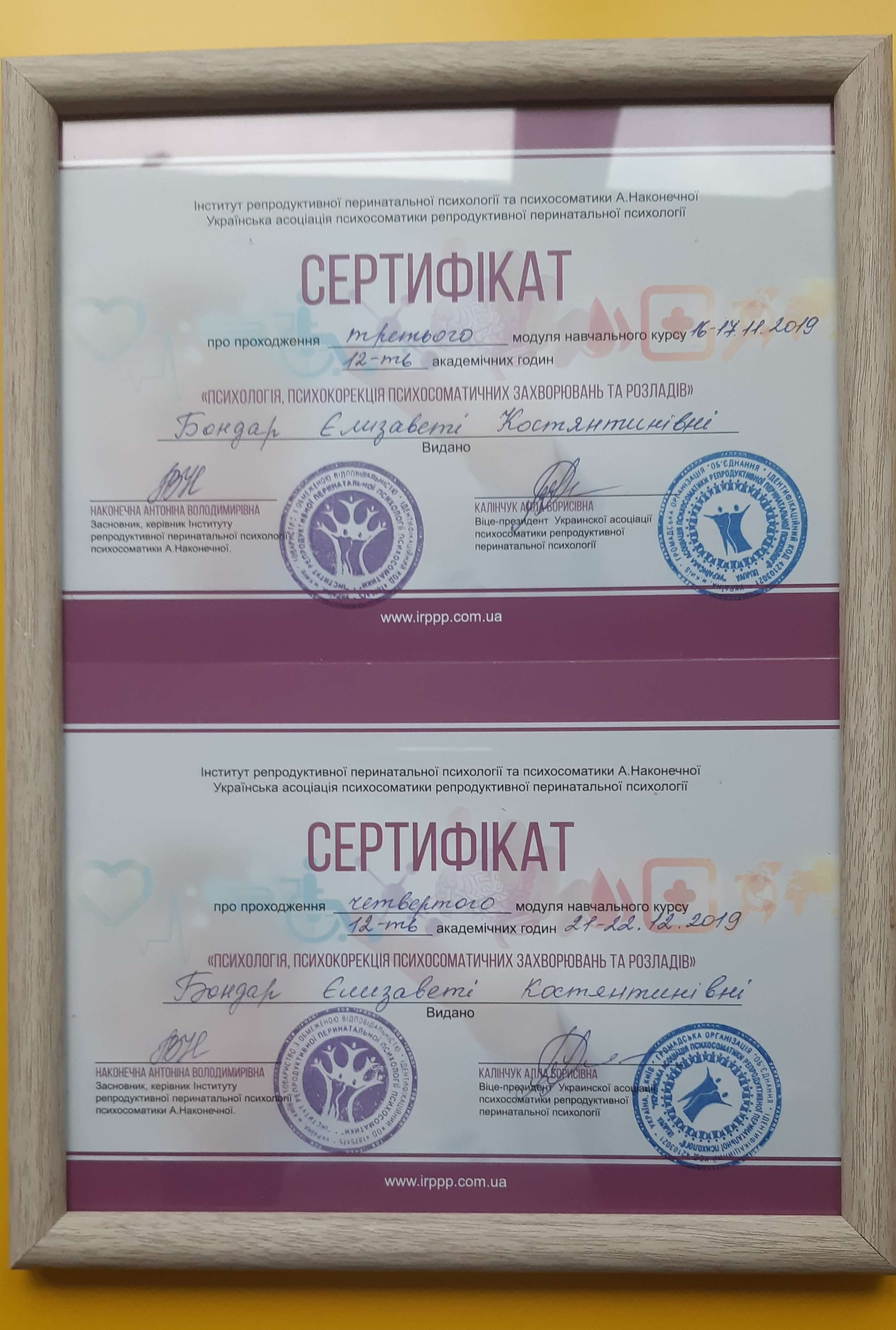 Сертифікат 5 Єлизавета Бо...