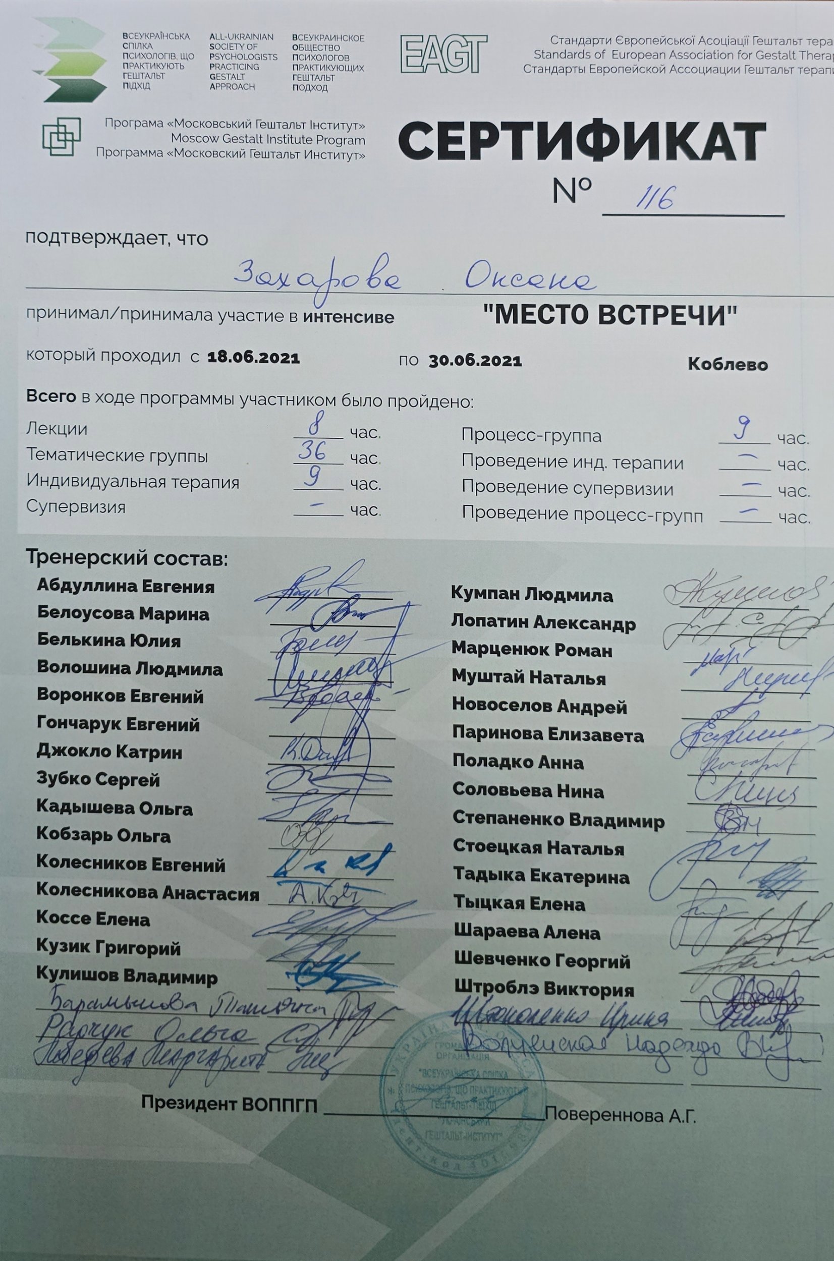 Всеукраїнська Спілка Психологів, що Практикують Гештальт Підхід, Програма «Московський Гештальт Інститут» (Moscow Gestalt Institute Program)