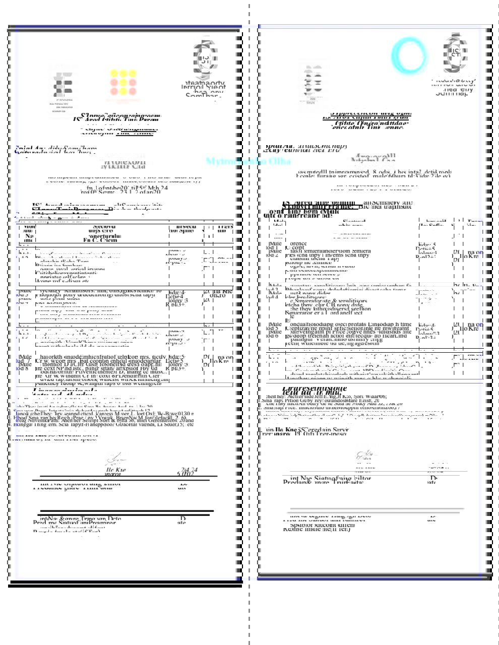 Сертификат 4 Ольга Ми...
