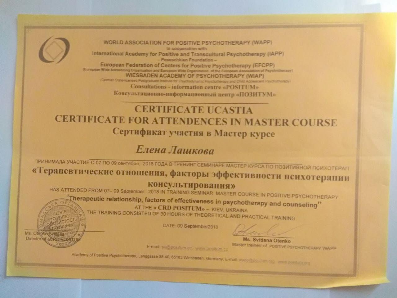 Сертифікат 5 Альона Ів...