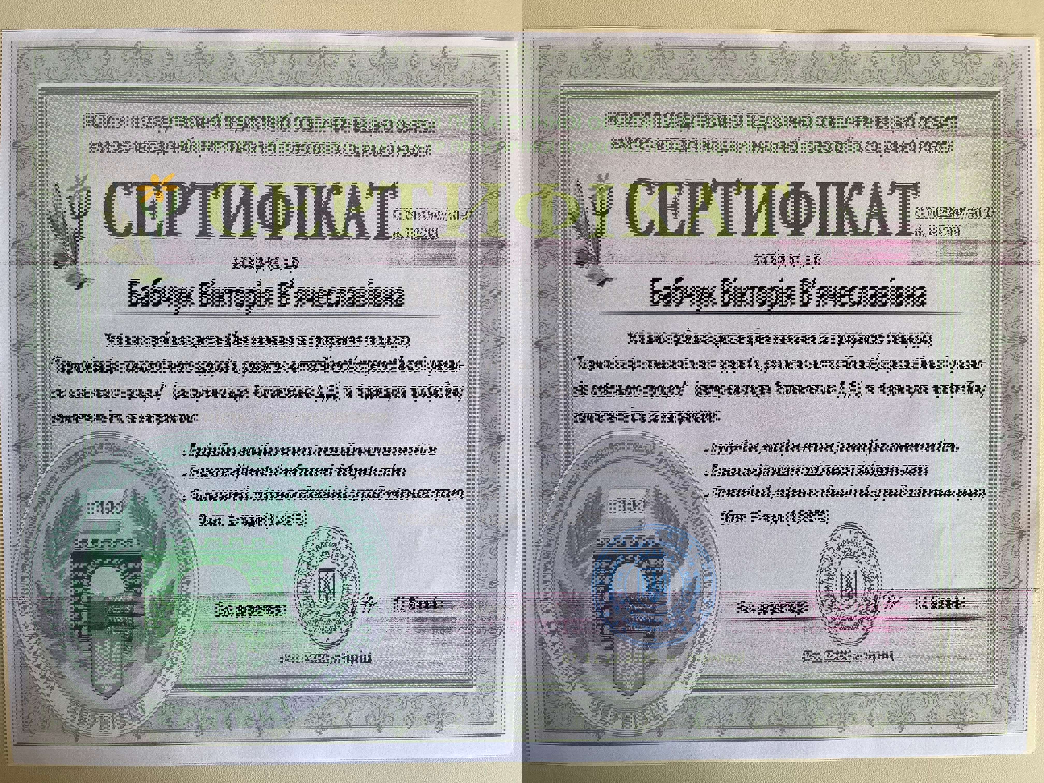 Сертификат 4 Вікторія Ба...