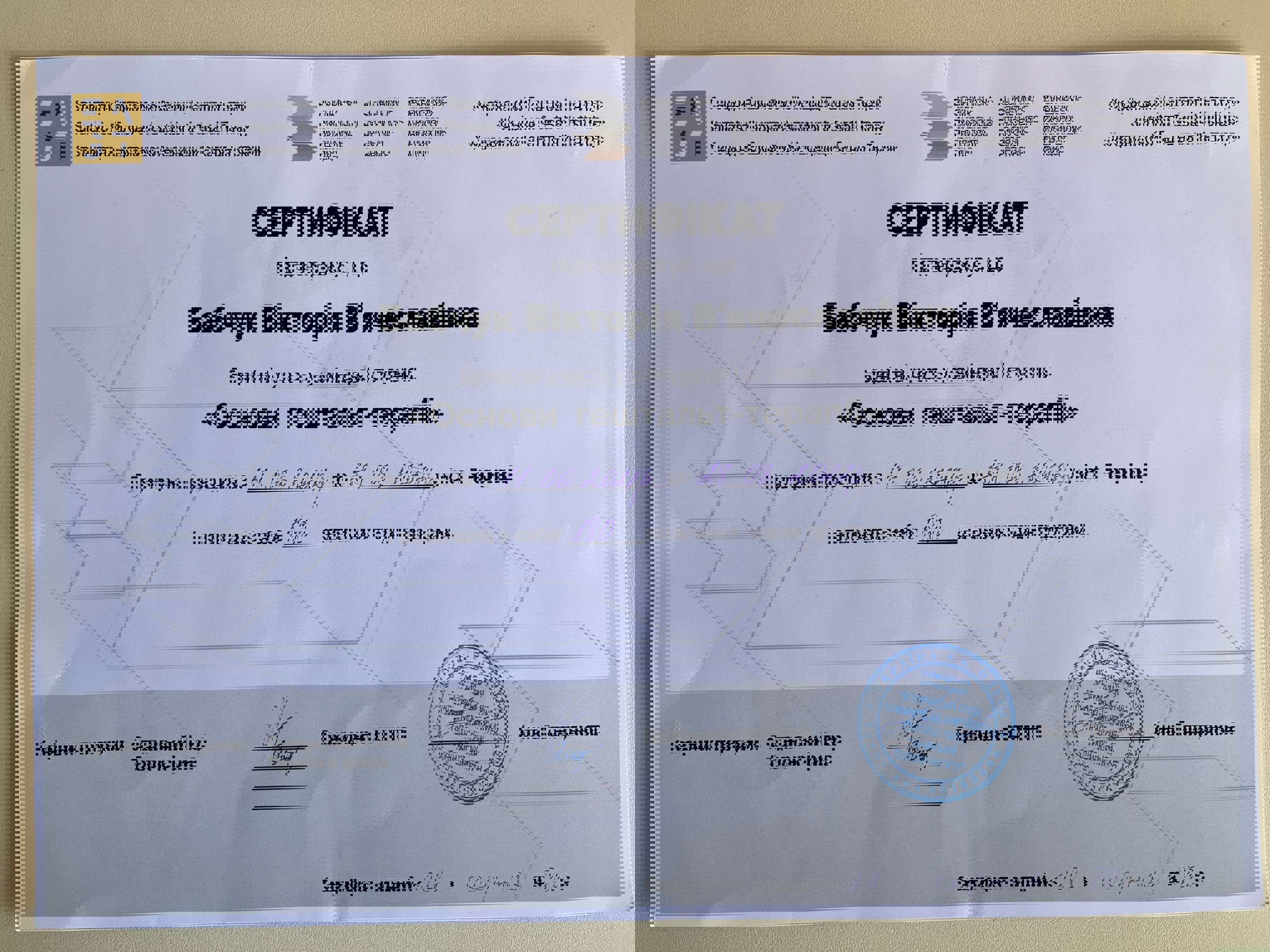 Сертификат 2 Вікторія Ба...