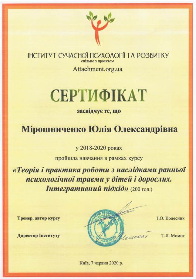 Сертификат 2 Юлия Ми...