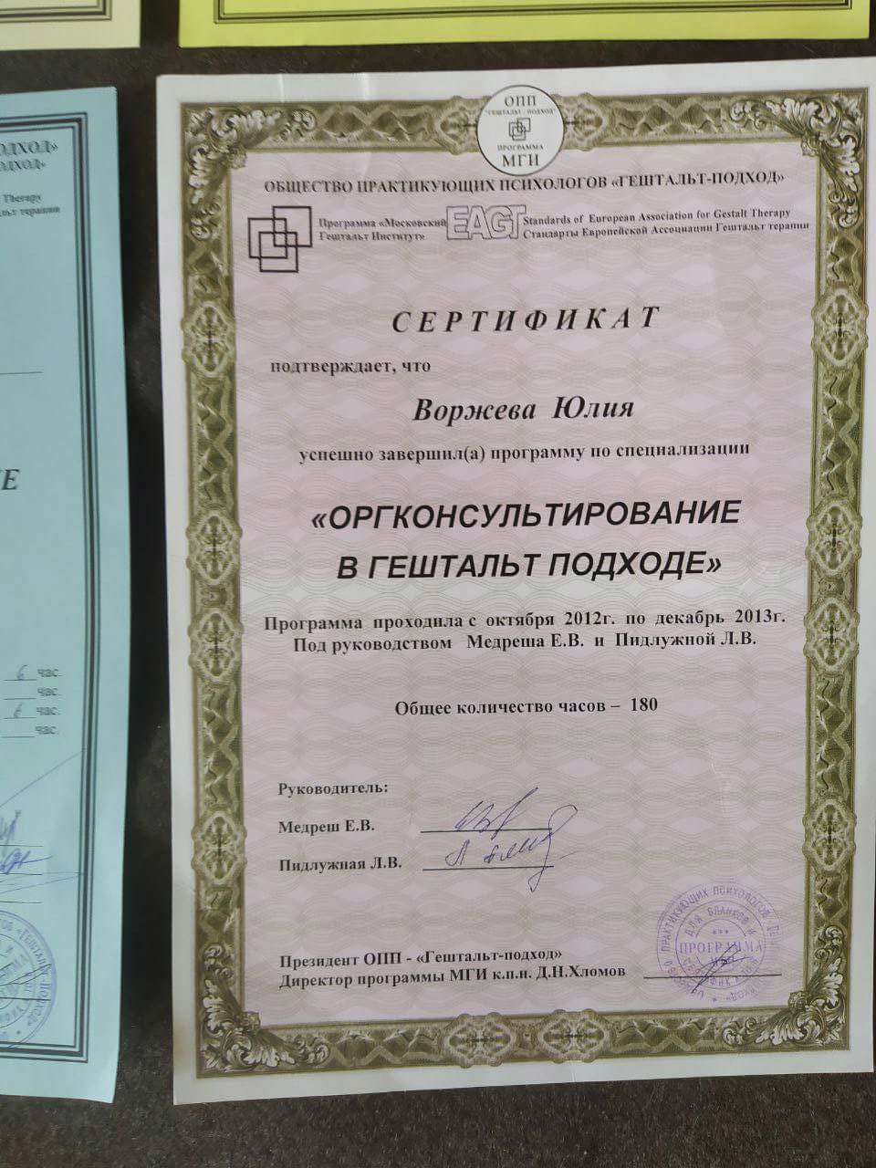 Сертификат 3 Юлия Во...