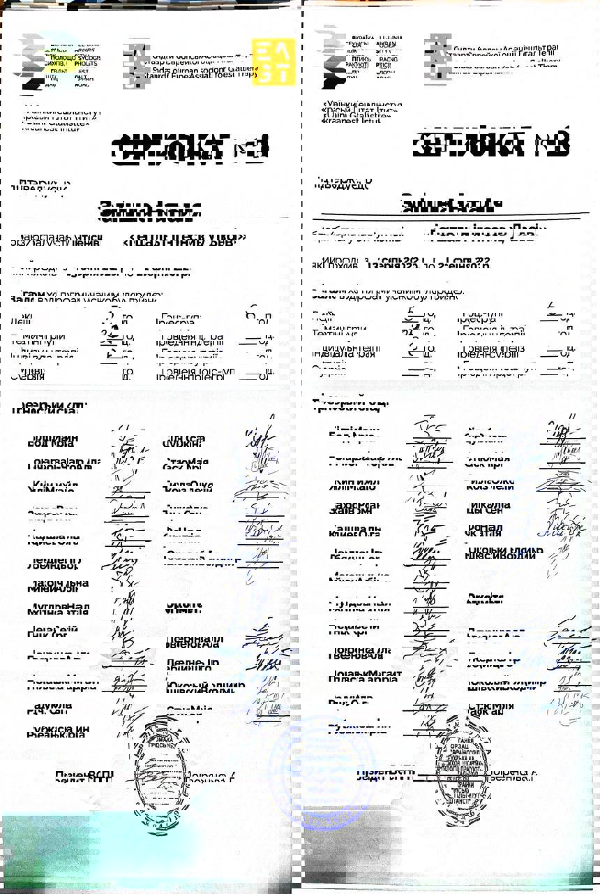 Сертификат 4 Наталья Ве...