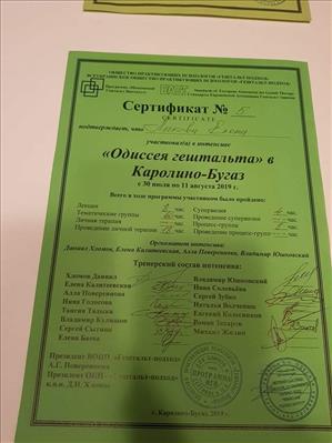 Сертифікат 2 Олена Ли...