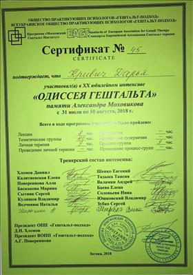 Сертифікат 2 Дар'я Кр...