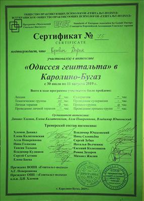 Сертифікат 3 Дар'я Кр...