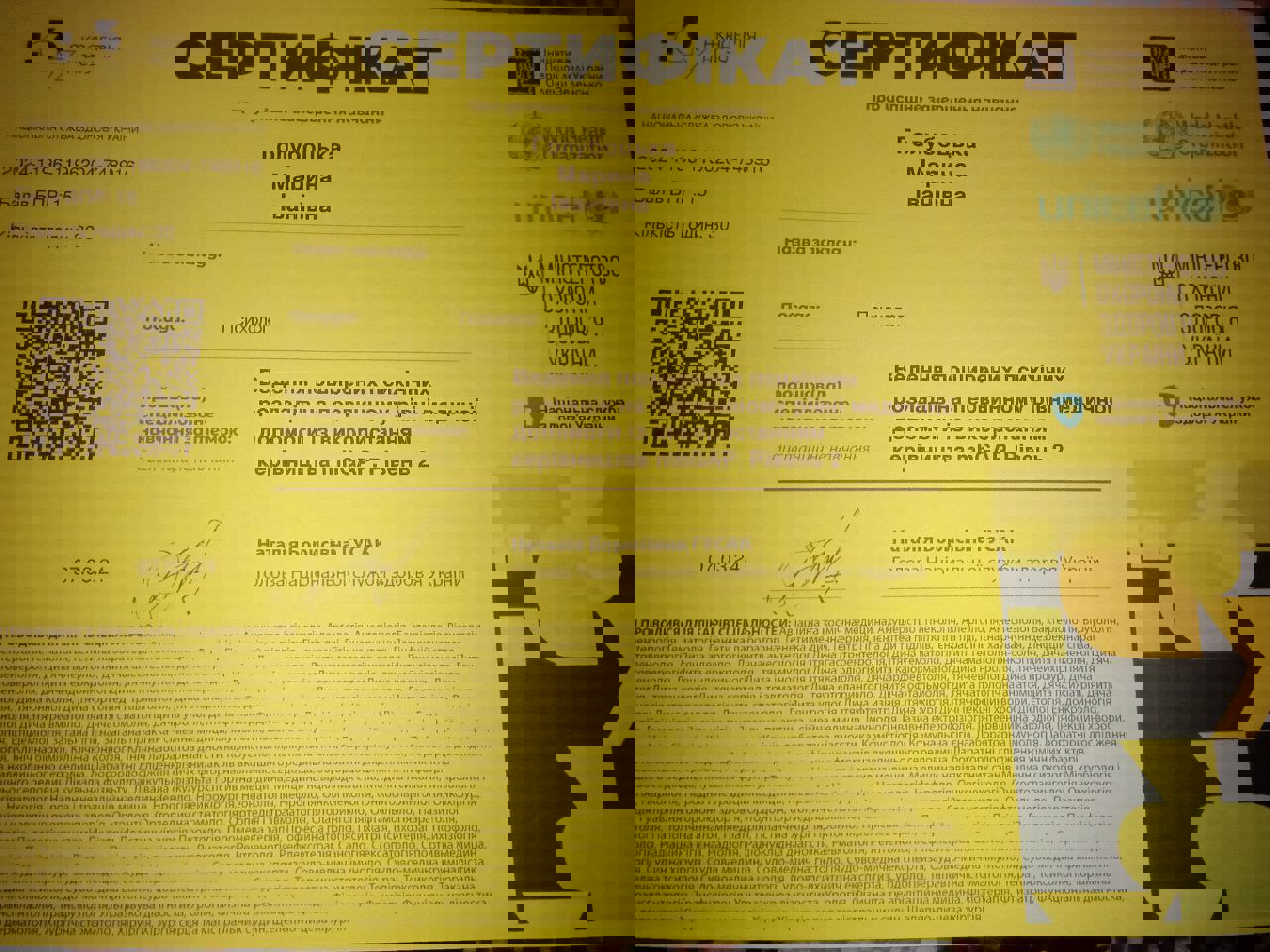 Сертификат 3 Марина Го...