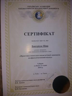 Сертификат 5 Нина Ба...