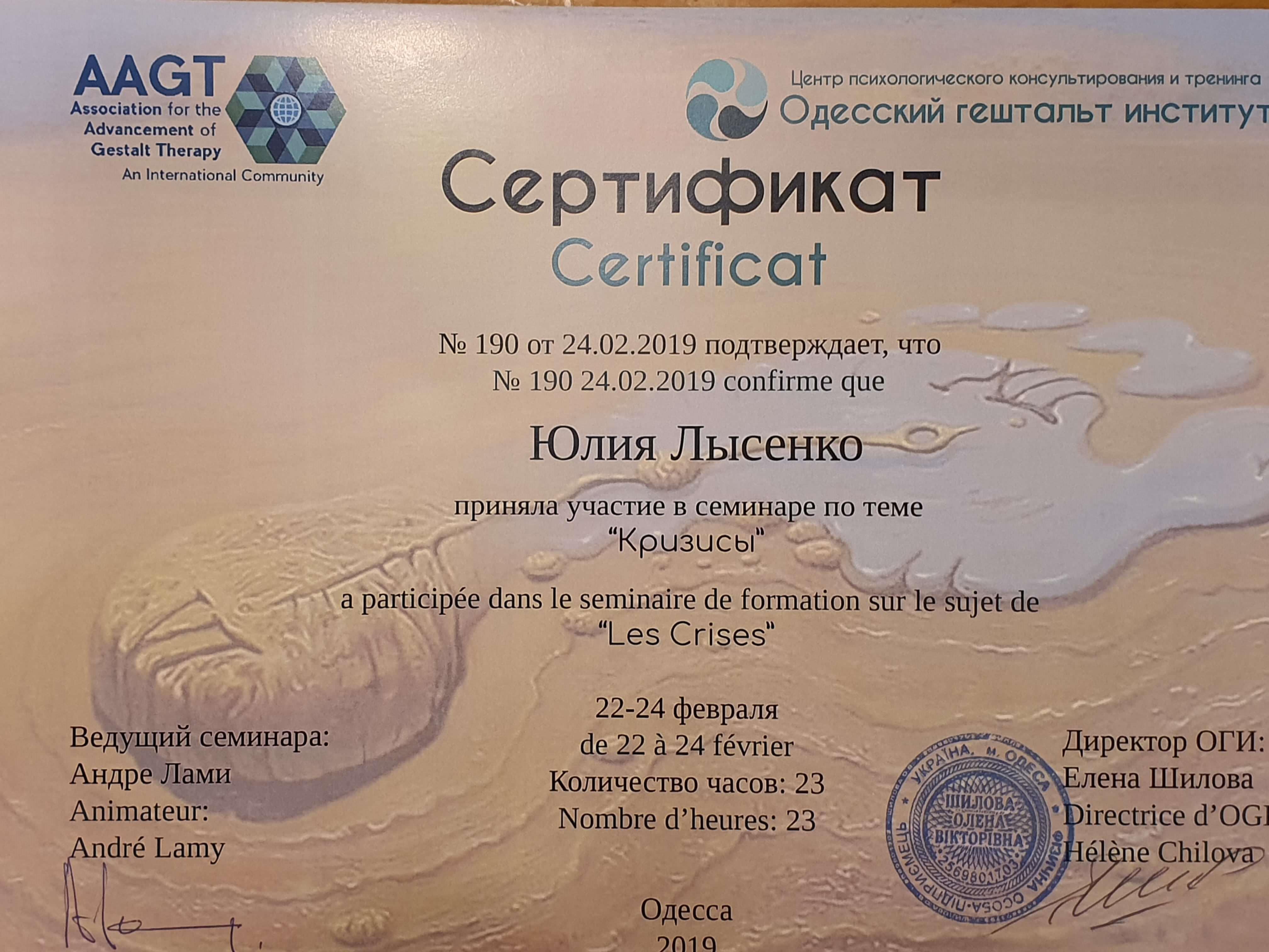 Сертификат 5 Юлия Лы...