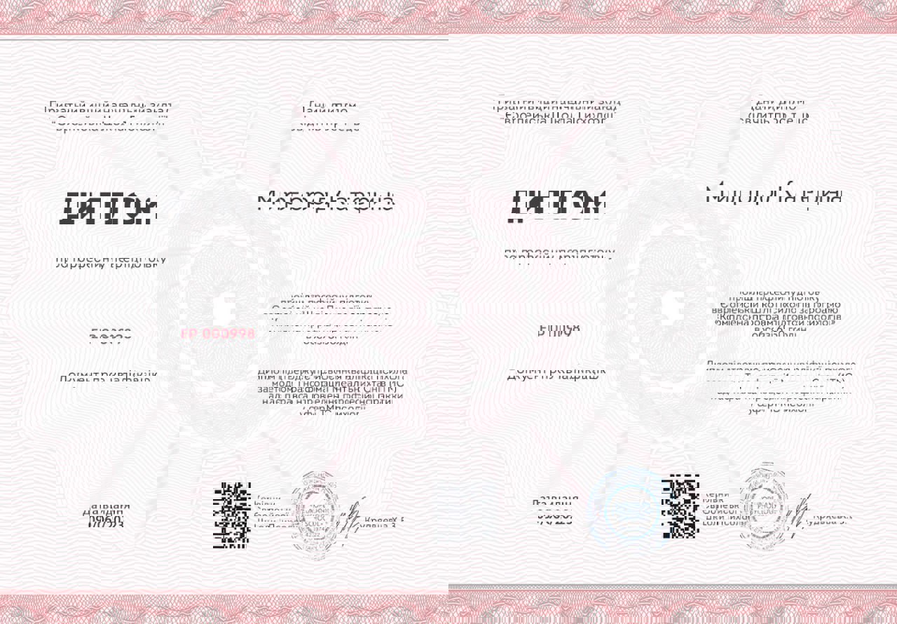 Сертификат 2 Екатерина Ми...