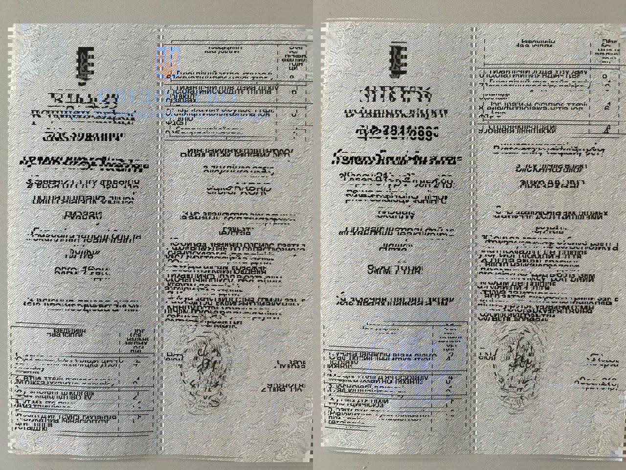 Сертификат 2 Виктория Ку...