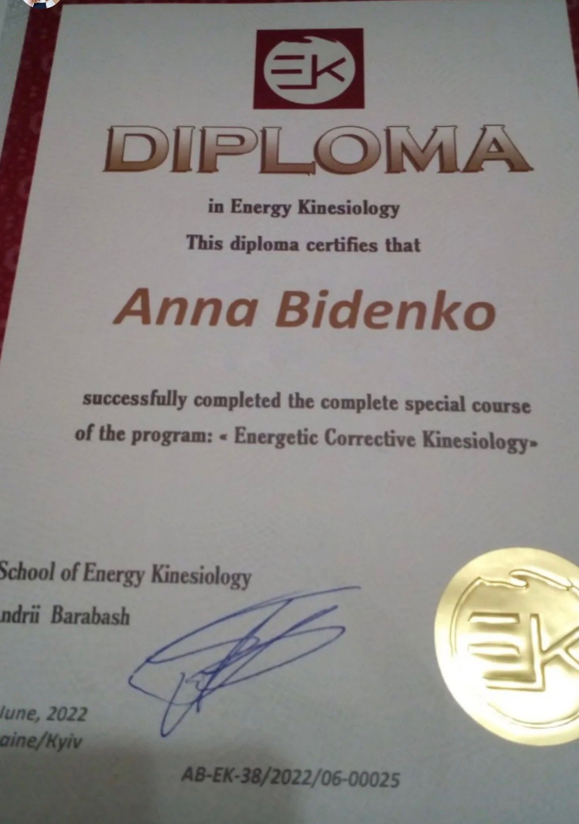 School of Energy Kinesiology, Energetic Corrective Kinesiology