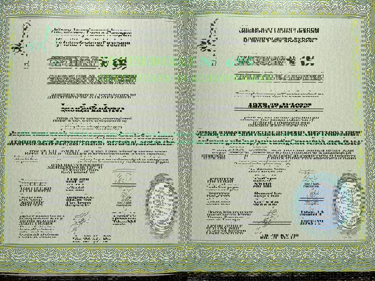 Сертификат 3 Дина Ид...