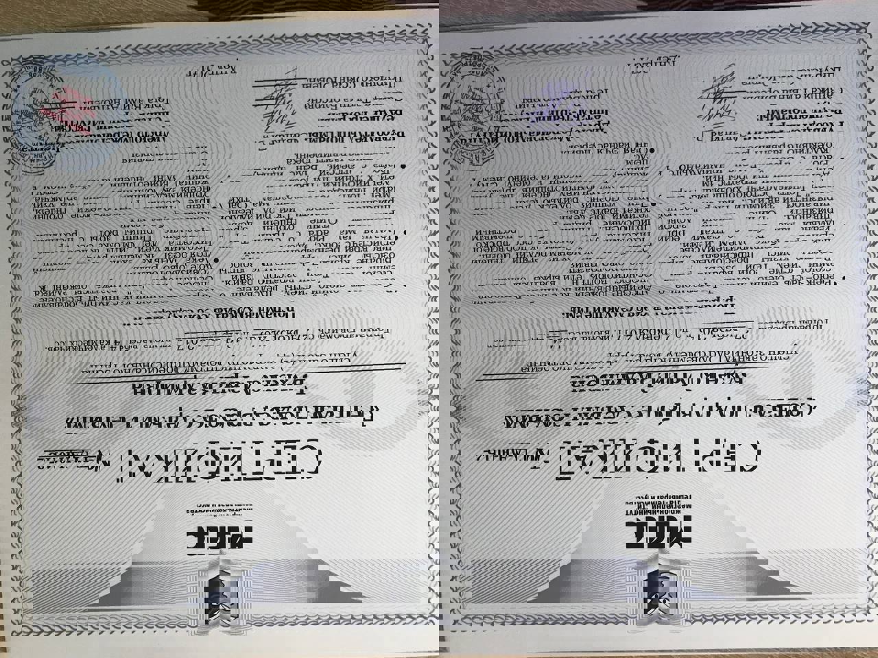 Сертифікат 2 Марія Бу...