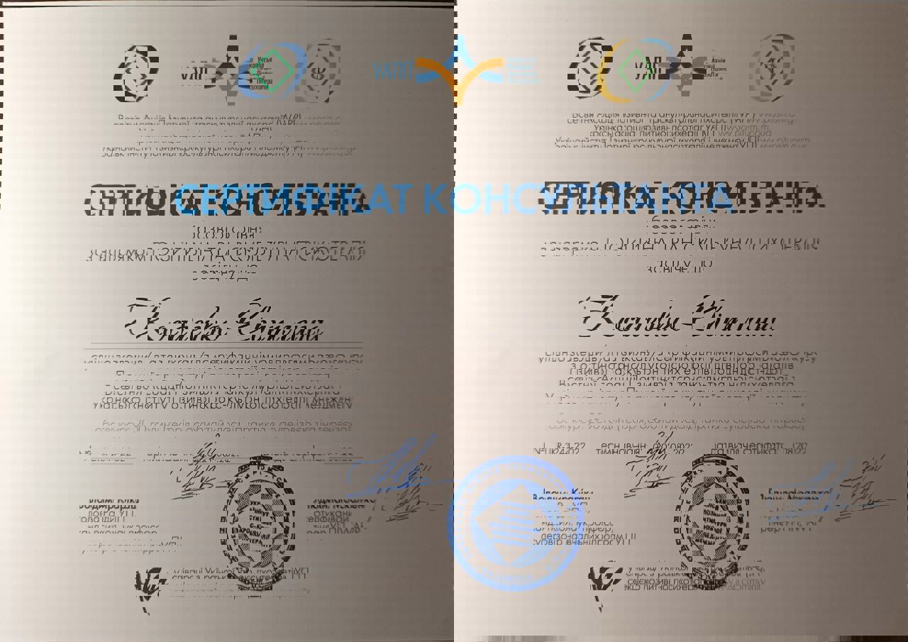 Сертификат 2 Светлана  Ко...