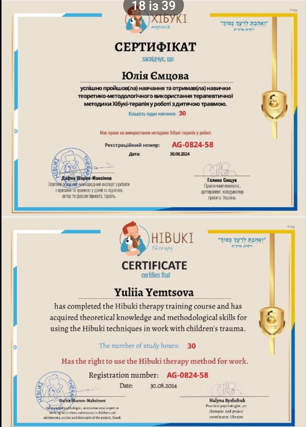 Сертифікат 1 Юлія  Єм...