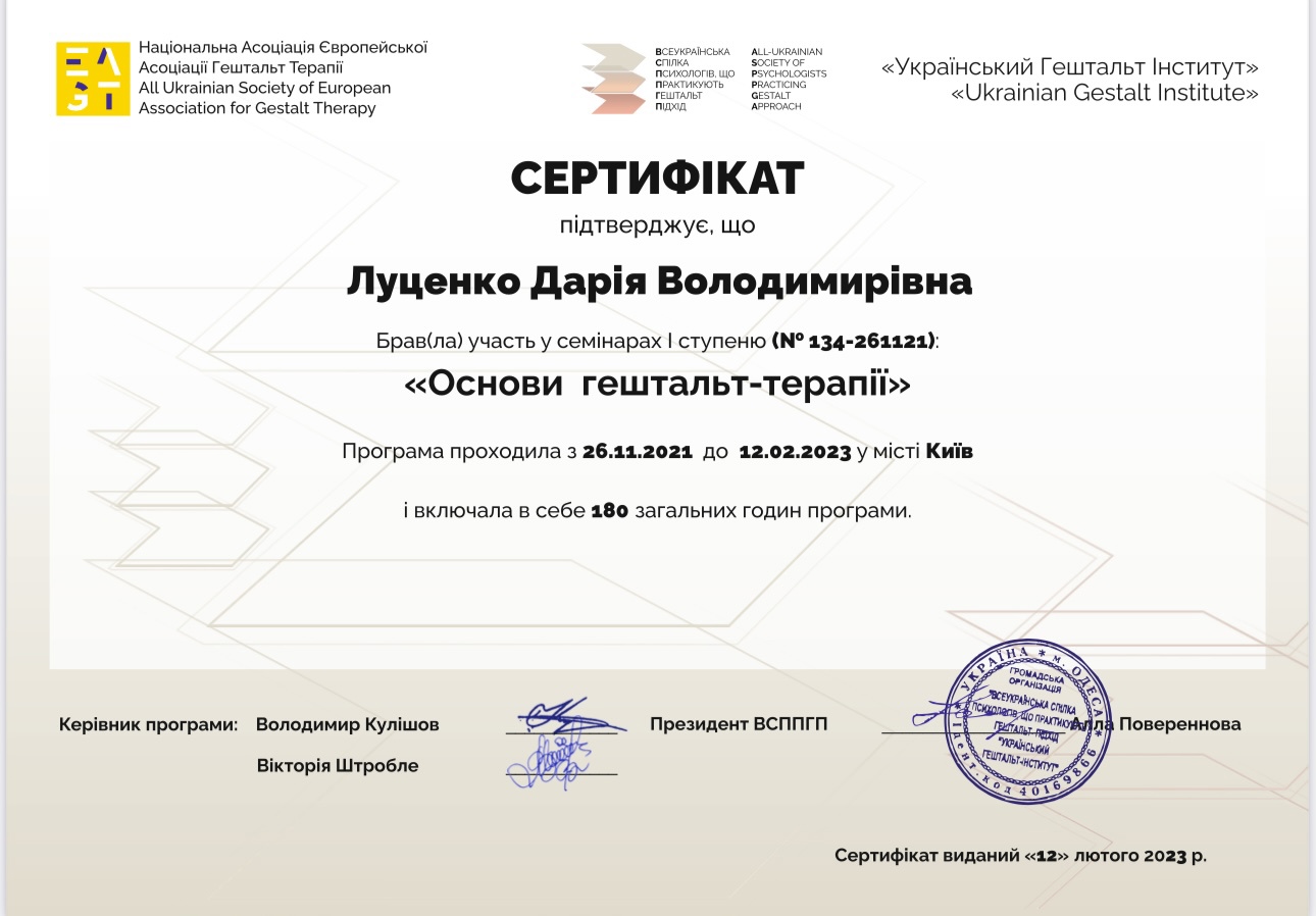 Сертификат 2 Дарія Лу...