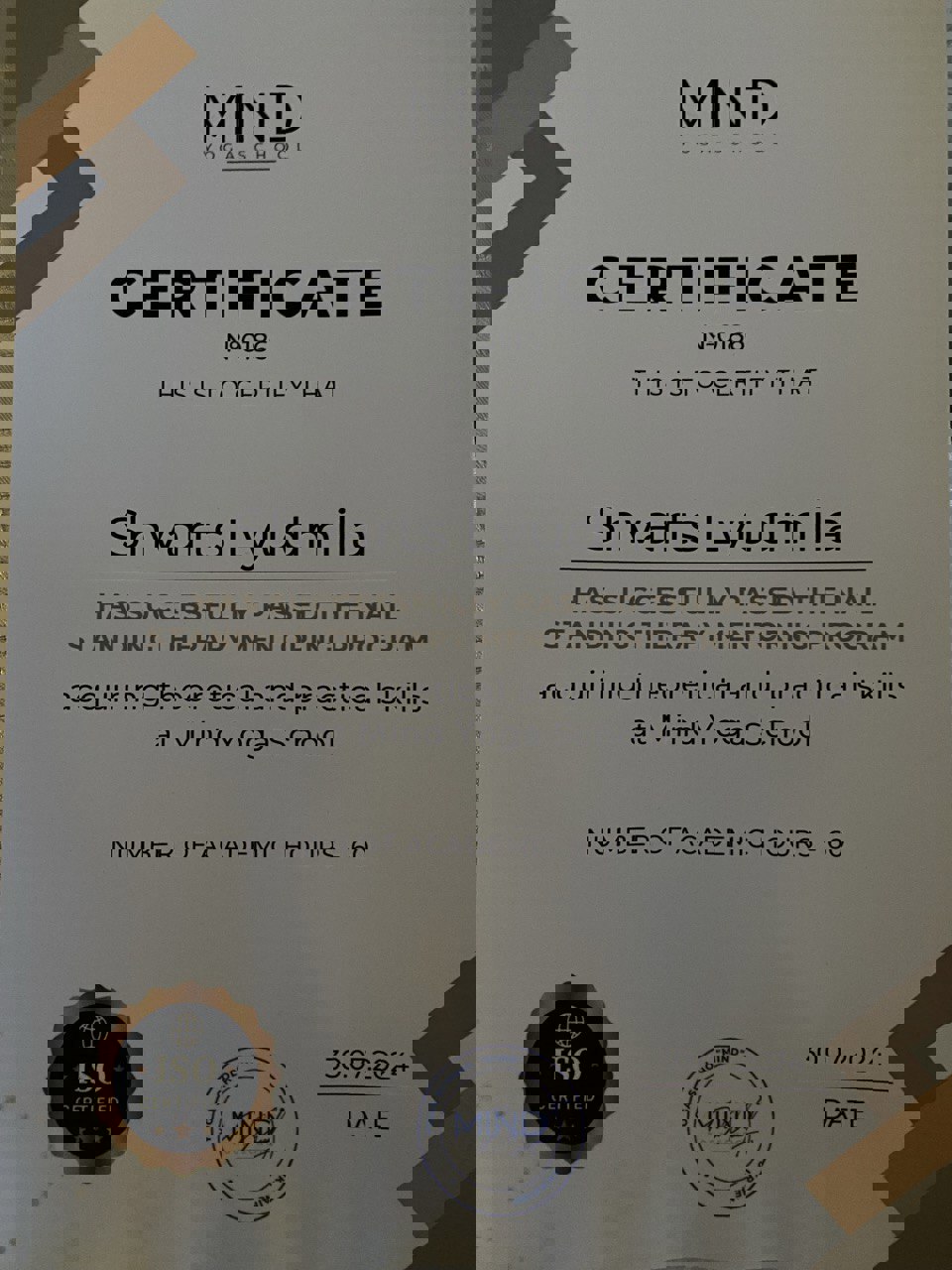 Сертифікат 4 Людмила Шв...