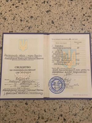 Сертификат 2 Алевтина  Ко...