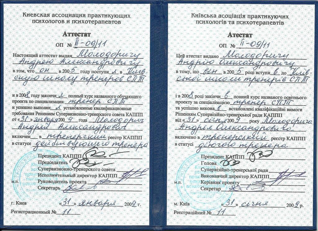 Сертификат 3 Андрей Мо...