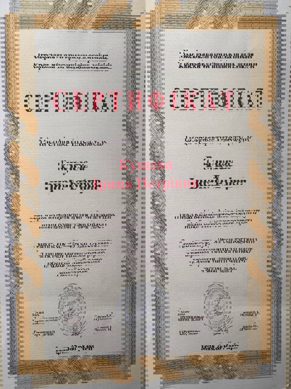 Сертификат 1 Ирина Ку...