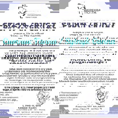 Сертифікат 3 Ганна Си...