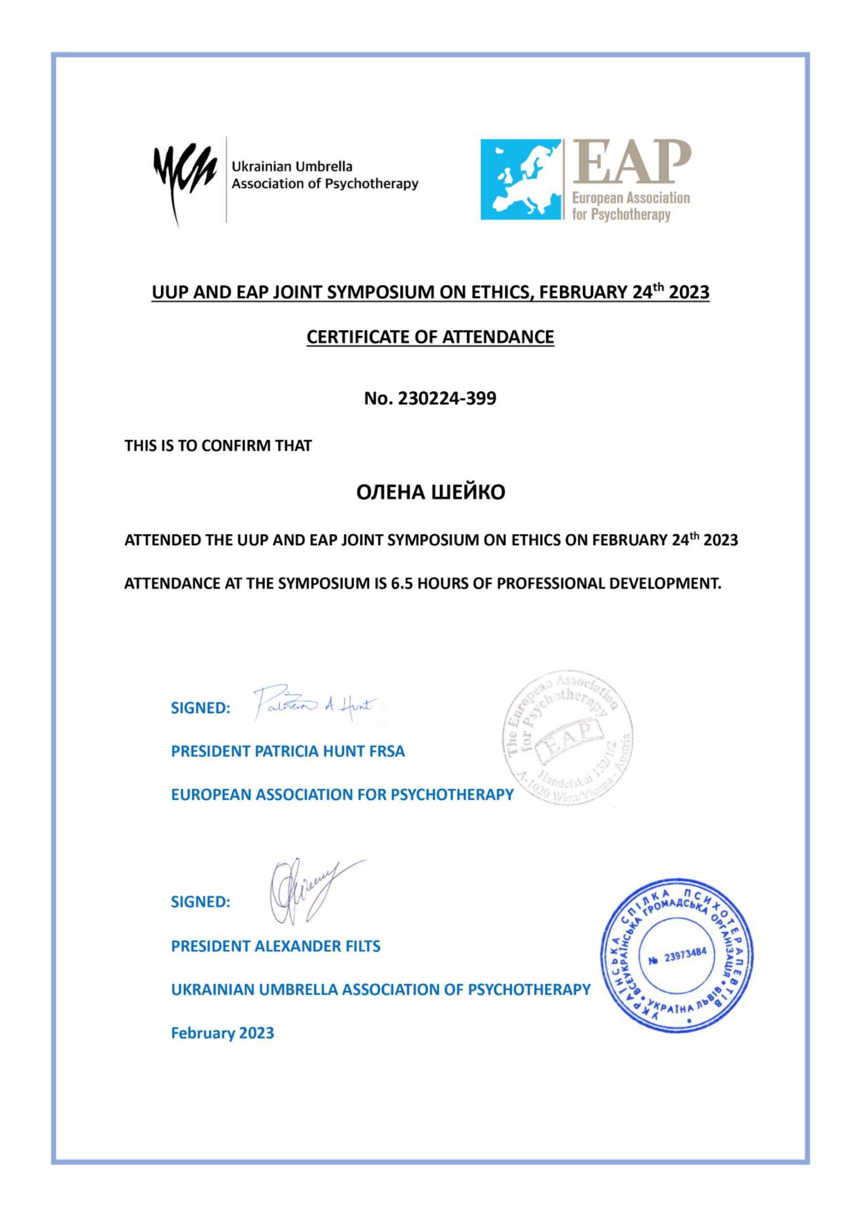 Сертификат 5 Елена Ше...