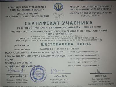 Сертифікат 5 Альона Ше...