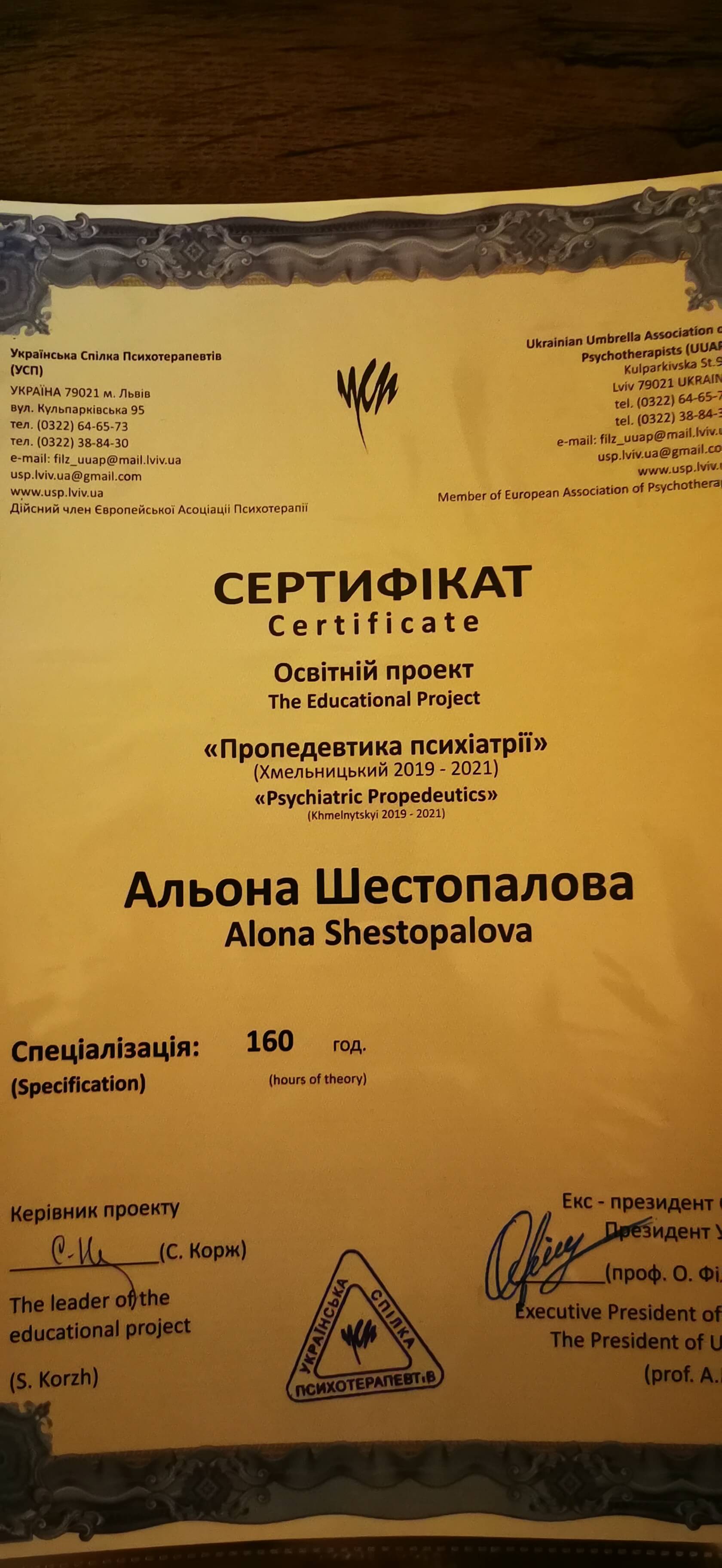 Сертифікат 3 Альона Ше...
