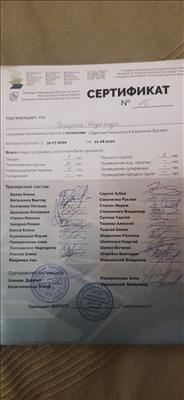 Сертификат 5 Нана  Ме...