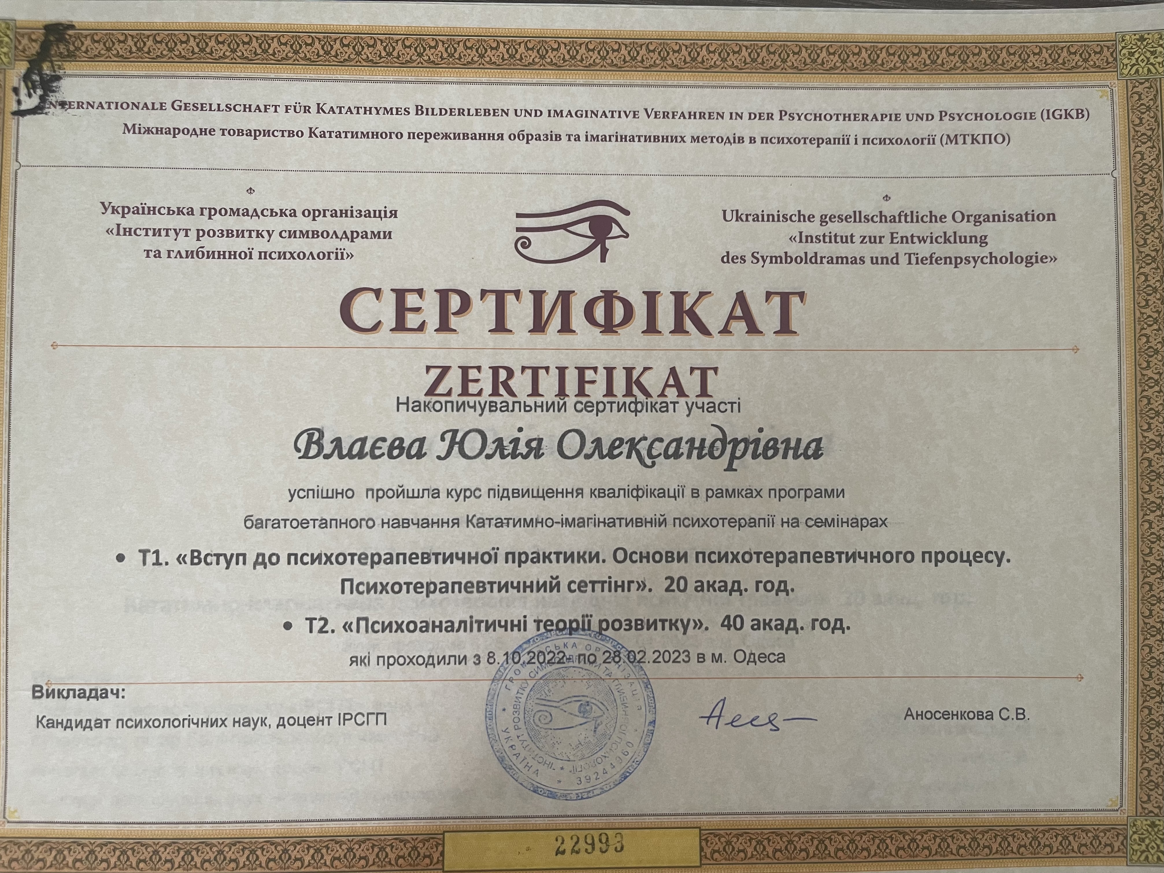 Сертификат 3 Юлия Вл...