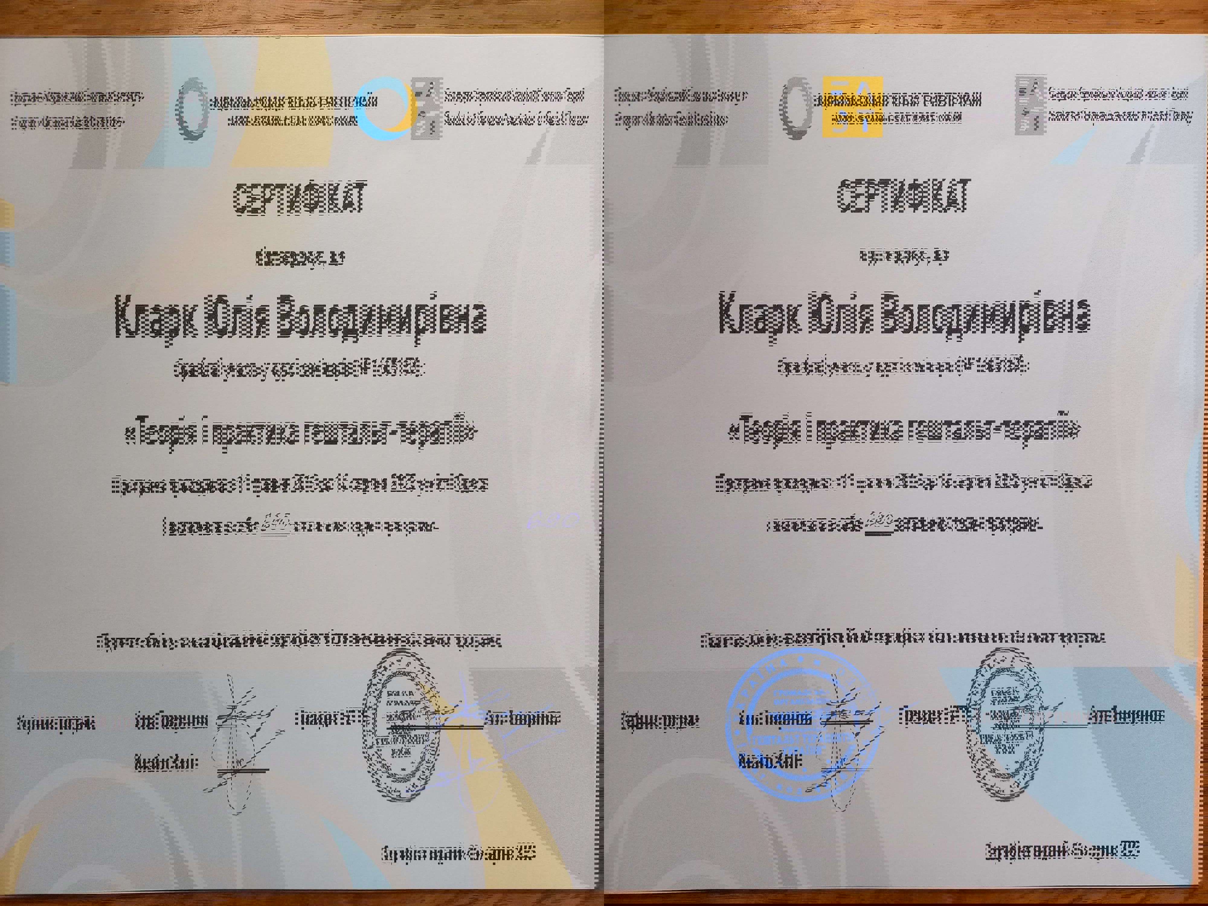 Сертифікат 3 Юлія Кл...