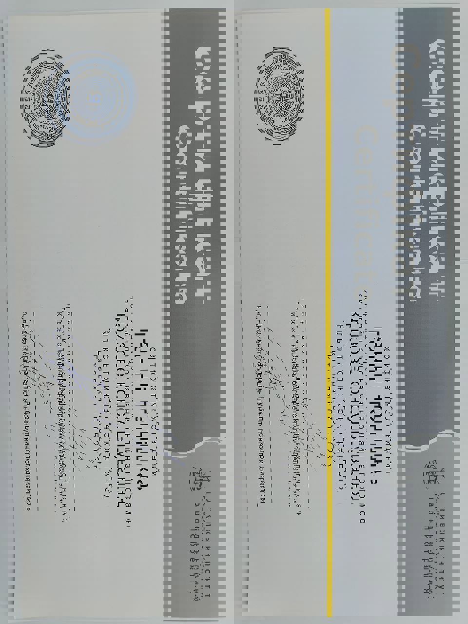 Сертификат 3 Анна То...