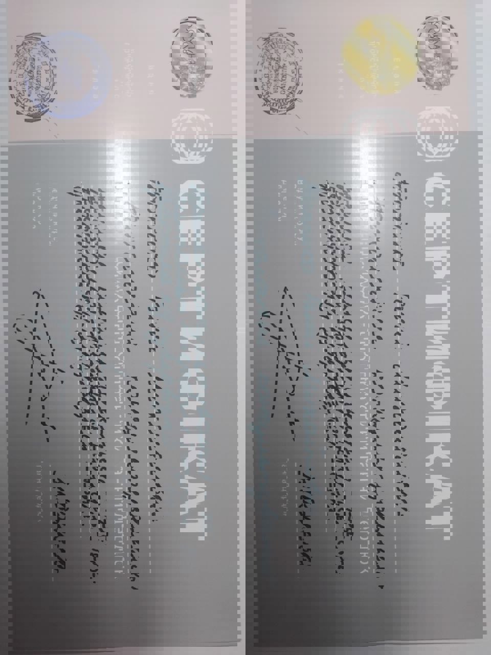 Сертификат 2 Анна То...