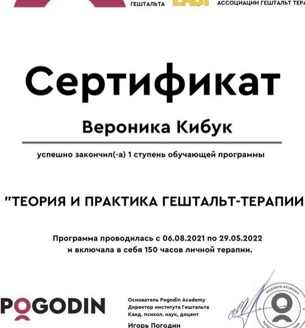 Сертификат 3 Вероника Ки...