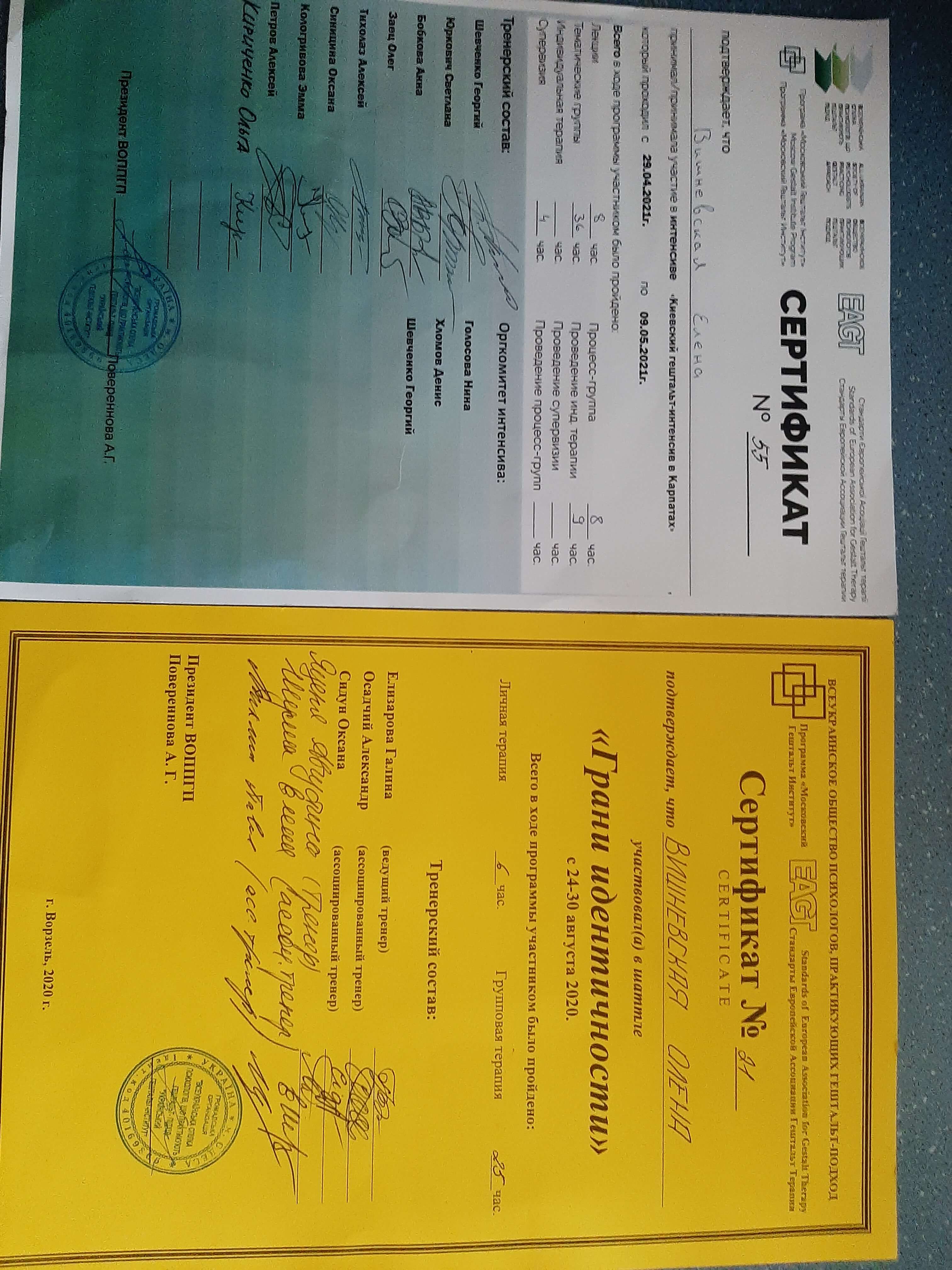 Сертифікат 2 Олена Ви...