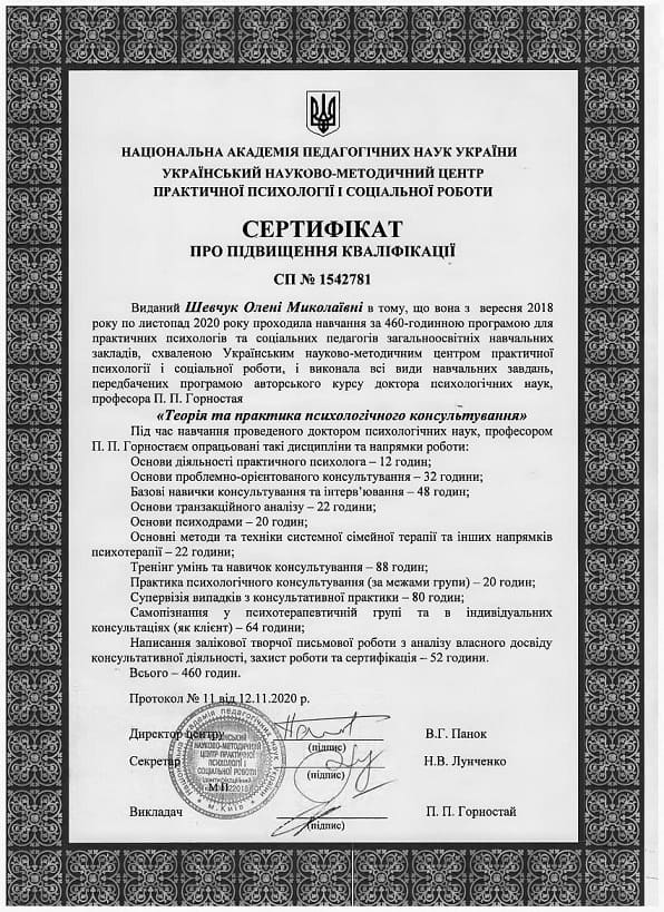 Сертификат 2 Елена Ше...