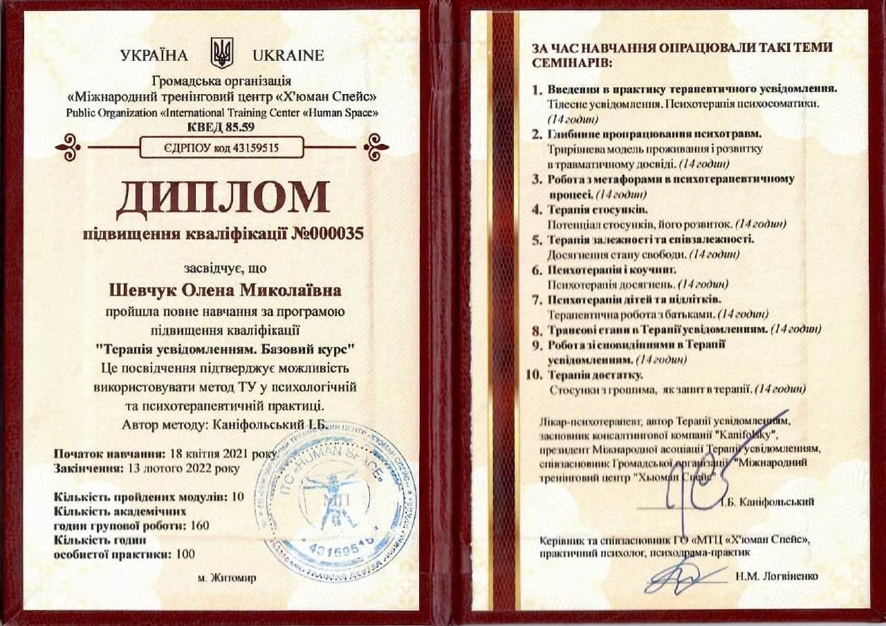 Сертификат 3 Елена Ше...